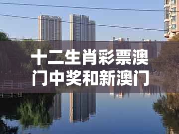 十二生肖彩票澳门中奖和新澳门今晚开一肖预测-常见释义、专家解读解释与落实​,规避不实的声明