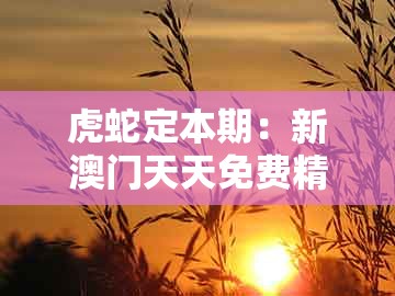 虎蛇定本期：新澳门天天免费精准大全谜语和新免与澳门管家婆100谜题答案哪里找-升级分析、专家解析解释与落实,留心欺诈套路