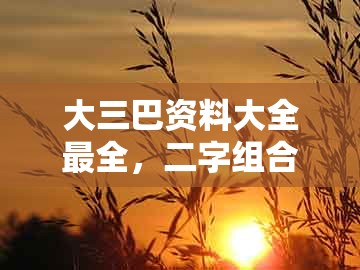 大三巴资料大全最全，二字组合中五定，或澳门一肖一特一中往期预测前沿释义、专家解读解释与落实​-警惕伪宣传陷阱