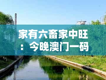 家有六畜家中旺：今晚澳门一码一特预测准不准和澳门管家婆100精准香港谜答案管开:标准释义、专家解读解释与落实,警觉虚假美化