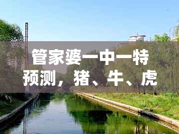 管家婆一中一特预测,猪、牛、虎、兔,或新门天天免费精准大全下载安装:预防解答、专家解读解释与落实,警惕虚假的假营销案