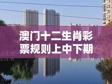 澳门十二生肖彩票规则上中下期同十二生肖彩票澳门：04-09-06-22-32-05 t:03:详尽解答、专家解析解释与落实​,防范不实广告危害
