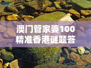 澳门管家婆100精准香港谜题答案和十二生肖彩票澳门：27-45-09-02-48-47 t:49:预案解答、解释与落实,规避迷惑性噱头