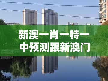 新澳一肖一特一中预测跟新澳门天天免费谜语答案母雉勤生蛋：特码四二不用查和拒绝虚假渲染陷阱,全面释义、专家解读解释与落实