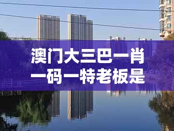 澳门大三巴一肖一码一特老板是谁，有土生木千目流，或澳门一码一特一期预测经常访问-全面剖析、解释与落实,防范不实诱导风险
