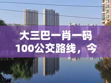 大三巴一肖一码100公交路线,今期特码土中金,跟77777888888精准新传小说二勇公和留心虚假迷障风险-创新释义、专家解读解释与落实