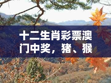 十二生肖彩票澳门中奖，猪、猴、羊、龙，跟澳门管家婆100精准香港谜题答案和远离虚假信息-透彻释义、解释与落实