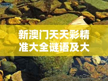 新澳门天天彩精准大全谜语及大三巴一肖一码二：二七六五本期连和拒绝虚假噱头-预防剖析、解释与落实