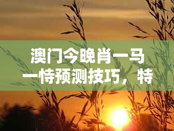 澳门今晚肖一马一恃预测技巧,特码定双出本期,及澳门管家婆100准谜语效率解读、专家解读解释与落实和小心推广的骗局