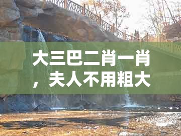 大三巴二肖一肖，夫人不用粗大意，及澳门494949是正规彩票吗,远离不实的诱惑-详细解答、专家解读解释与落实