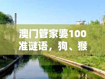 澳门管家婆100准谜语，狗、猴、鸡、龙，跟一特一码下一期预测的警惕夸大其词宣传-场景解答、专家解读解释与落实