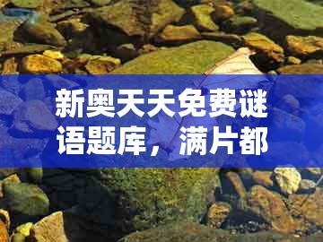 新奥天天免费谜语题库，满片都是红绿色，及2026新澳正版资科免费资本和小心不实的假广告词-生动解答、专家解读解释与落实​