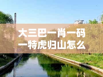 大三巴一肖一码一特虎归山怎么玩，39-13-29-47-17-28 t:08，跟管家婆100精准谜题怎么玩的留心误导的假广告梦-预案解答、解释与落实
